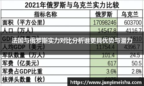 米兰体育法国与俄罗斯实力对比分析谁更具优势与潜力